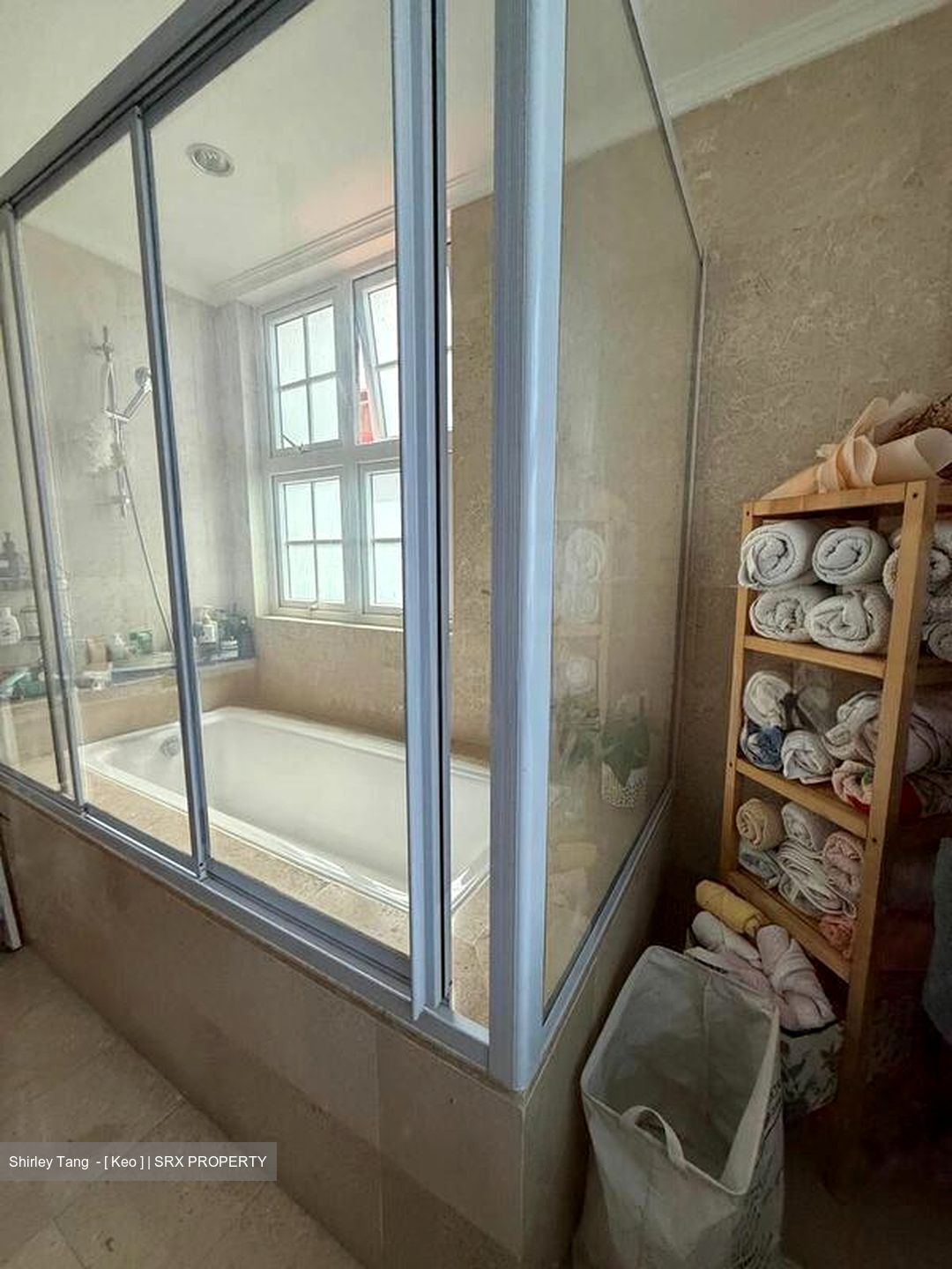 Braddell Heights Estate (D13), Detached #517075271